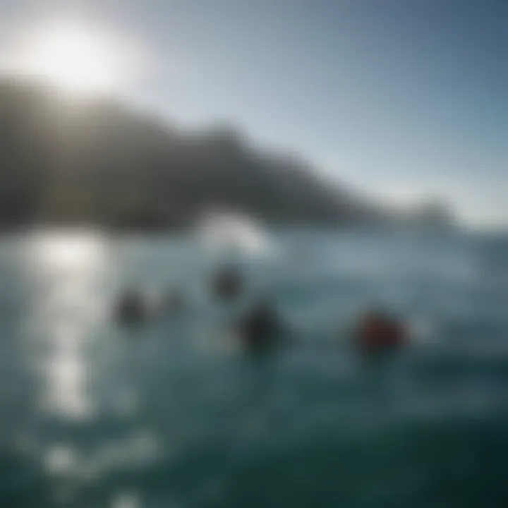 A group of divers practicing safety measures before a shark dive.