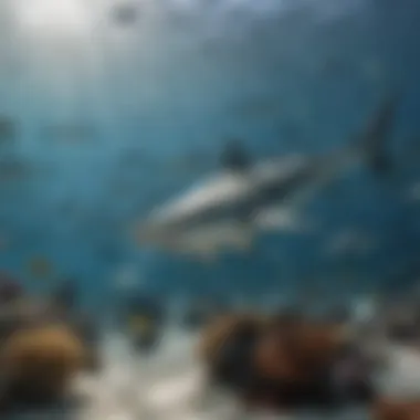 A vibrant underwater scene showcasing various shark species.