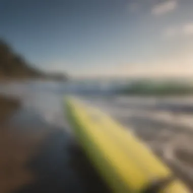 Ecological Impact of Surfboard Transportation Ecological benefits of using bike trailers for surfboards