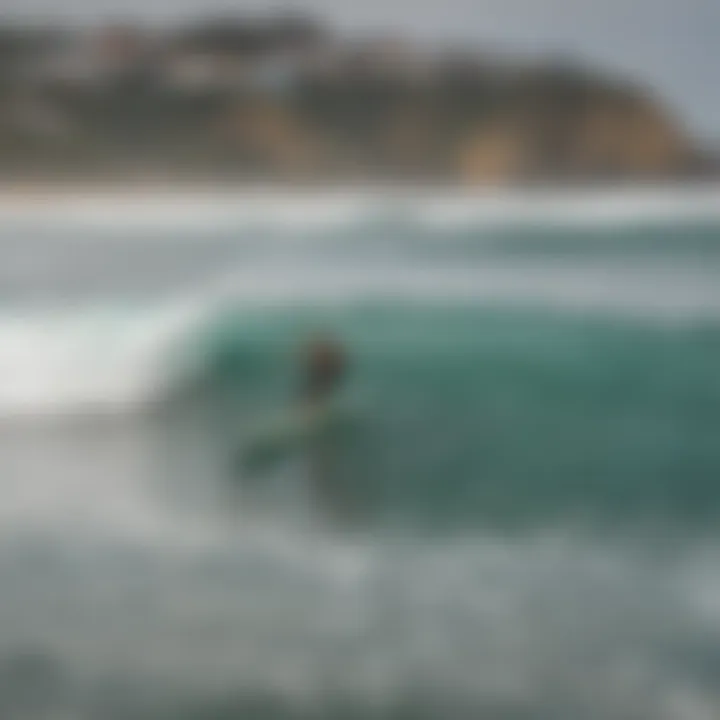 A coastal cleanup event with surfers and enthusiasts gathering