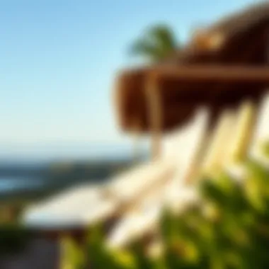 Surfboards Awaiting Adventure at LaPoint Camp Surfboards lined up at LaPoint Camp ready for action