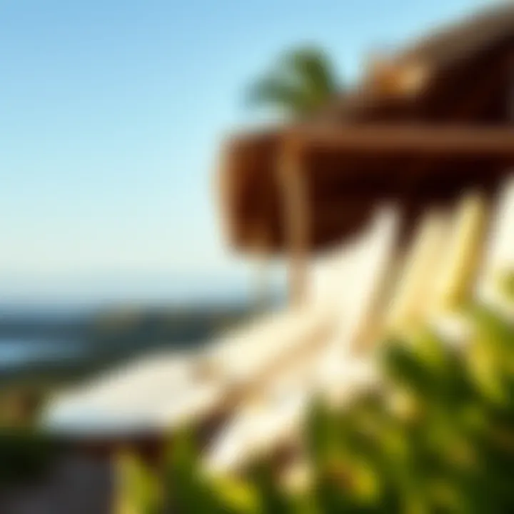 Surfboards Awaiting Adventure at LaPoint Camp Surfboards lined up at LaPoint Camp ready for action