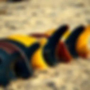 Diverse range of Makapu'u fins laid out for comparison