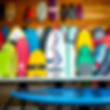 Diverse Designs of Morey Boogie Boards A vivid display of Morey boogie boards showcasing various designs and sizes.