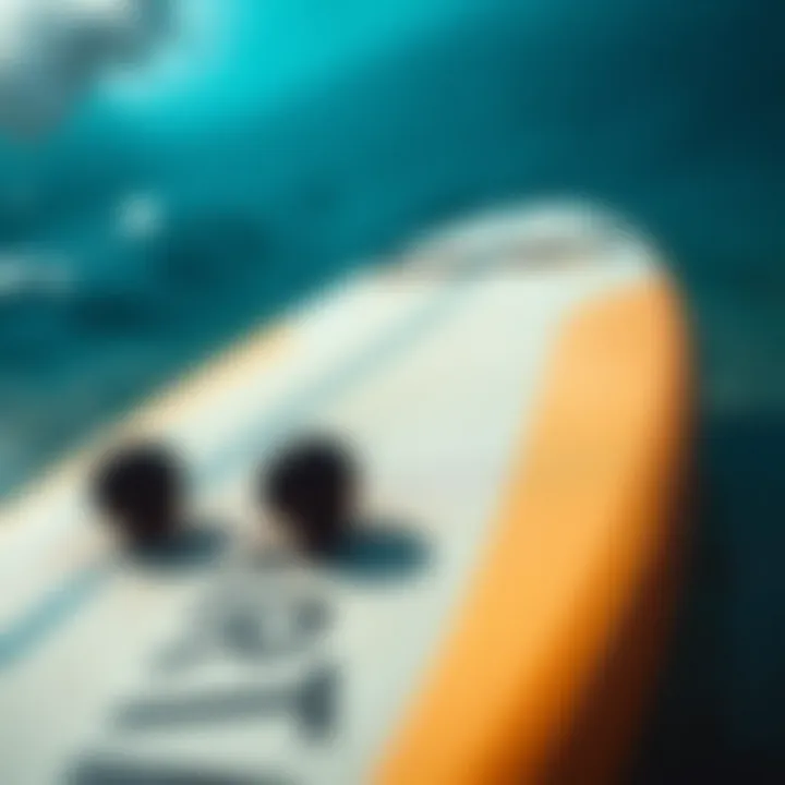 Innovative Features of Morey Boogie Boards Close-up of a Morey boogie board highlighting its unique features and materials.