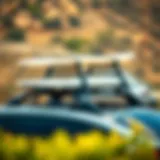Diverse roof rack types for surfboards