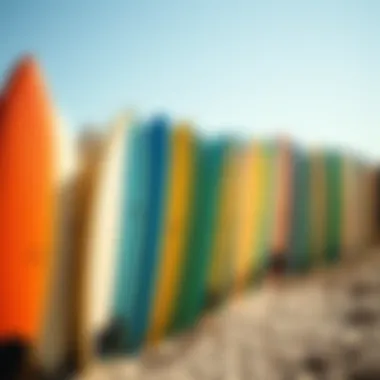 Colorful surfboards lined up on the beach