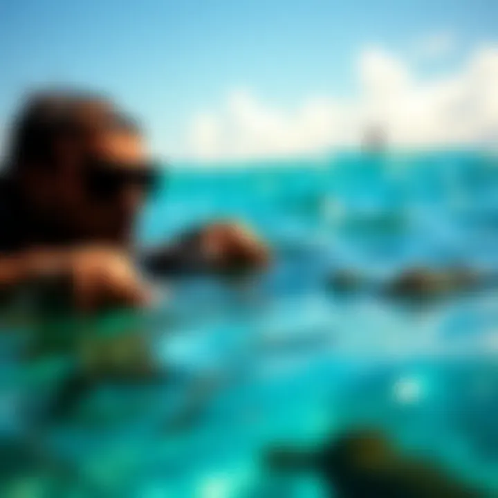 Marine Environment and Skin Health Vibrant marine landscape that emphasizes environmental factors affecting skin health