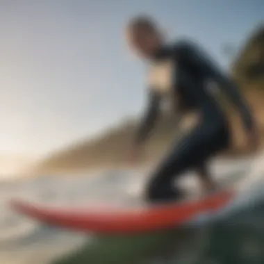 Surf Culture and Conservation Synergy Surfboard enthusiasts engaging with ocean conservation
