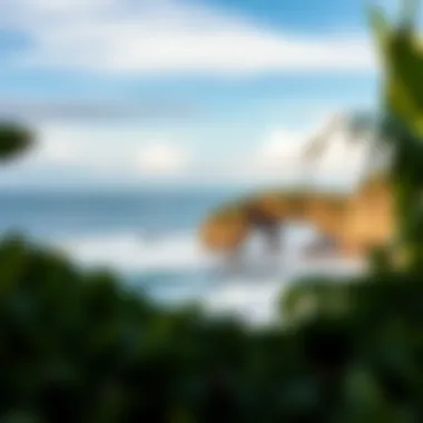 Natural Beauty of Costa Rican Surf Spots A panoramic view of a popular surf spot showcasing its natural beauty