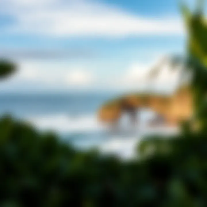 Natural Beauty of Costa Rican Surf Spots A panoramic view of a popular surf spot showcasing its natural beauty