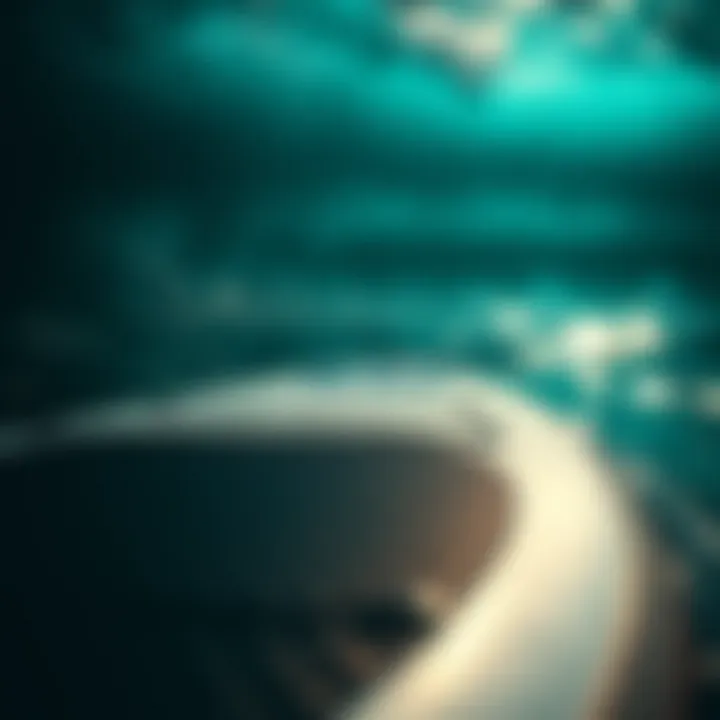 Illustration showing stability aspects of paddle boards