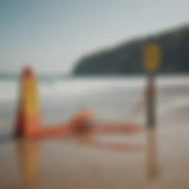 Safety precautions sign at a beach