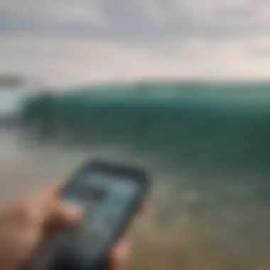 Surfboarding enthusiasts observing shark tracking information on a mobile device