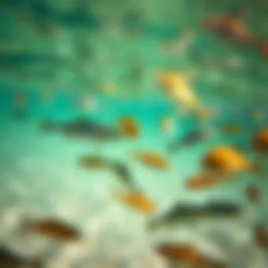 Biodiversity Under the Waves A vibrant underwater shot of various fish species swimming near the shore, illustrating the biodiversity in Galveston waters.