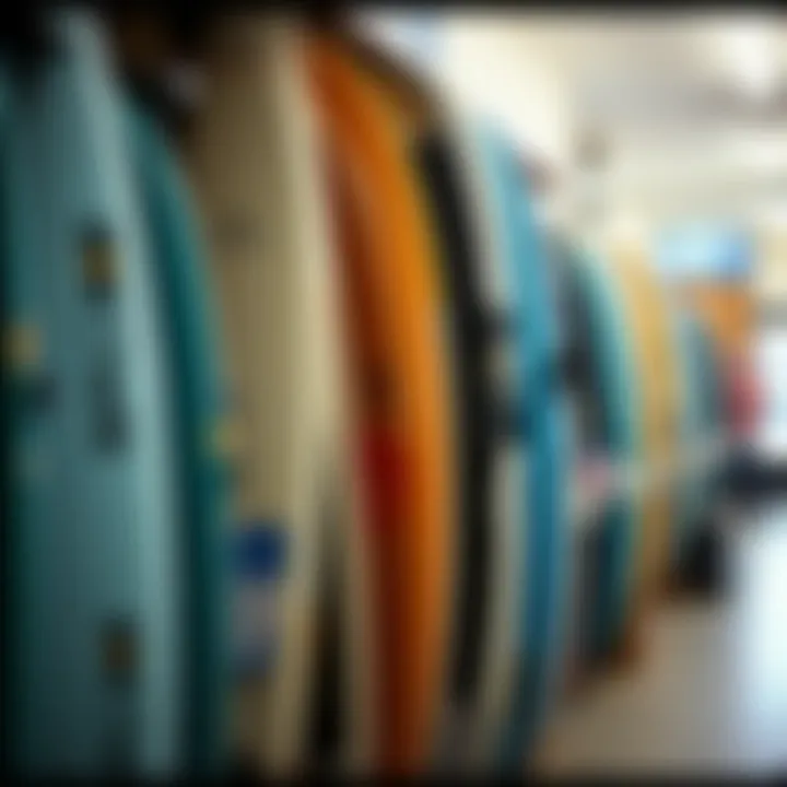 Surfing gear and accessories in the outlet