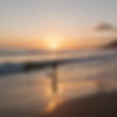 A serene sunset backdrop with surfers silhouetted against the horizon