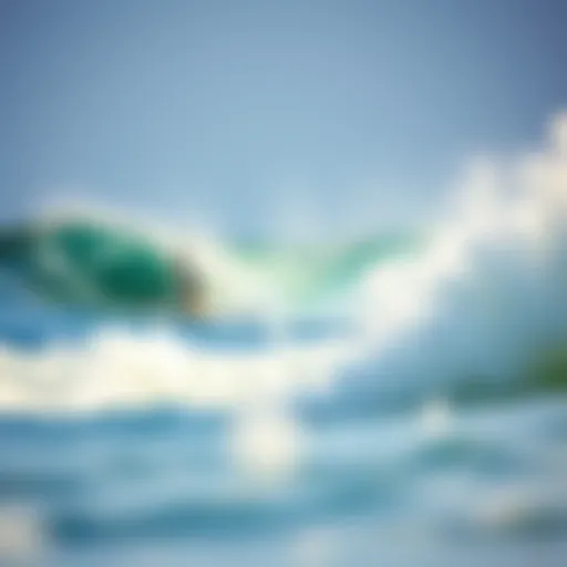 Surfline Venice Beach showcasing vibrant wave action