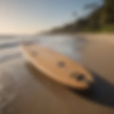 An eco-friendly surftech longboard with sustainable materials displayed on the shoreline.