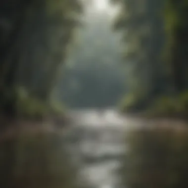 Ecological Landscape of the Amazon Ecological landscape of the Amazon region