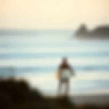 A tranquil beach setting, perfect for novice surfers learning the sport