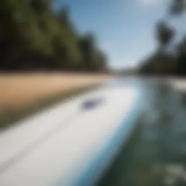 Comparative Analysis of Brands Comparative analysis of leading electric surfboard brands