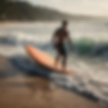 A collection of top foam skimboard models displayed on the shore