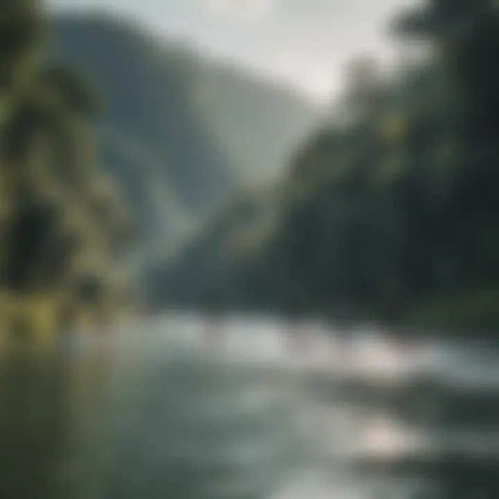 Group of paddleboarders navigating a river