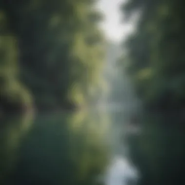 Serene River Adventure with Inflatable SUP Inflatable SUP on a calm river