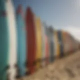 A vibrant collection of various surfing boards lined up on the beach