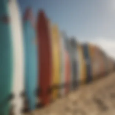 Diverse Surfing Board Selection A vibrant collection of various surfing boards lined up on the beach