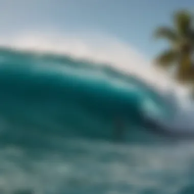 Diverse surfers enjoying waves at a tropical location