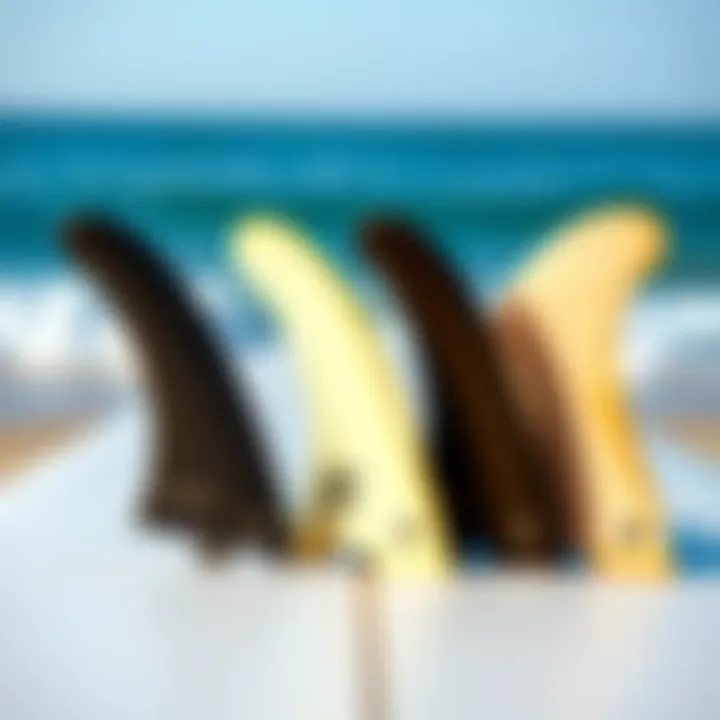 Various surfboard fin types arranged for comparison
