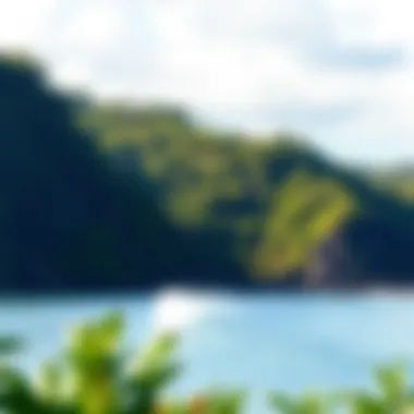 Lush coastal landscape highlighting ecological significance