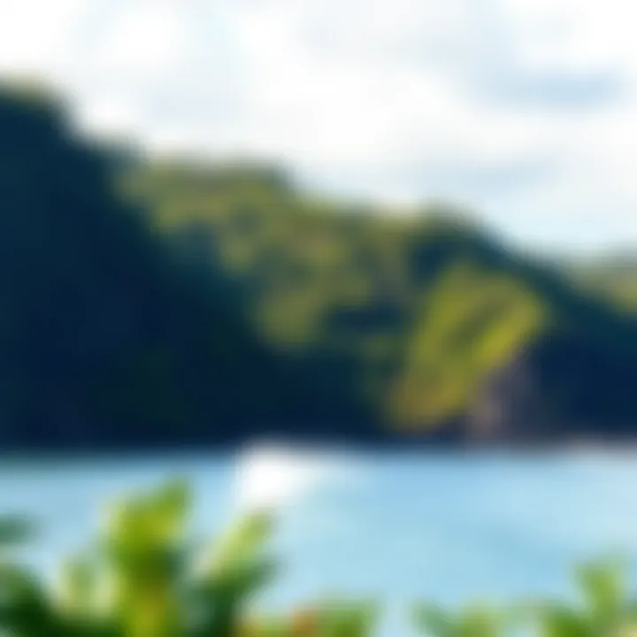 Lush coastal landscape highlighting ecological significance