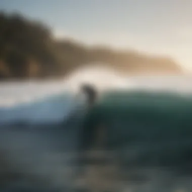 Surfing Community Forum An engaging online community forum discussing surf techniques and experiences.