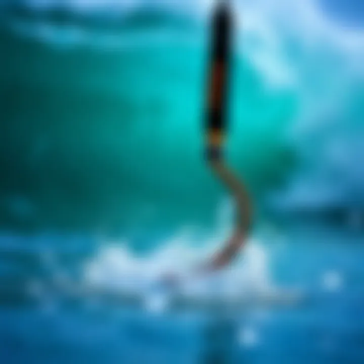 Exploring the FCS Freedom Leash: A Comprehensive Guide Introduction Exploring the FCS Freedom Leash: A Comprehensive Guide Introduction