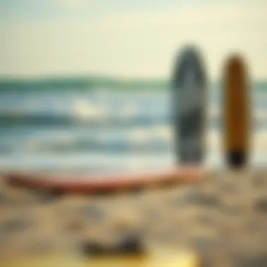 Comparative Analysis of Top Skim Board Brands A well-structured comparison chart of leading skim board brands