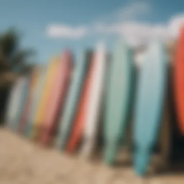 Close-up of surfboards lined up outside the Redweek Aruba Surf Club