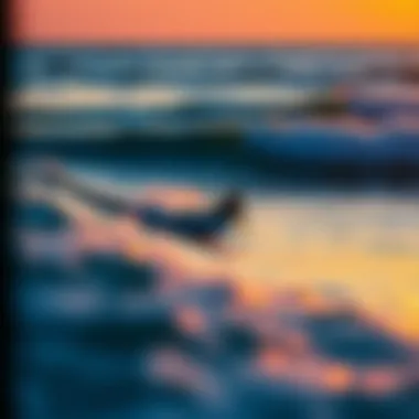 Sunset Surfing Experience Surfers riding the waves at sunset in Osa Peninsula
