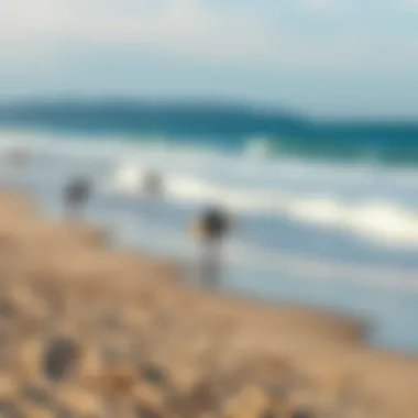 Picturesque Beach with Surfers A picturesque beach setting with surfers in the water