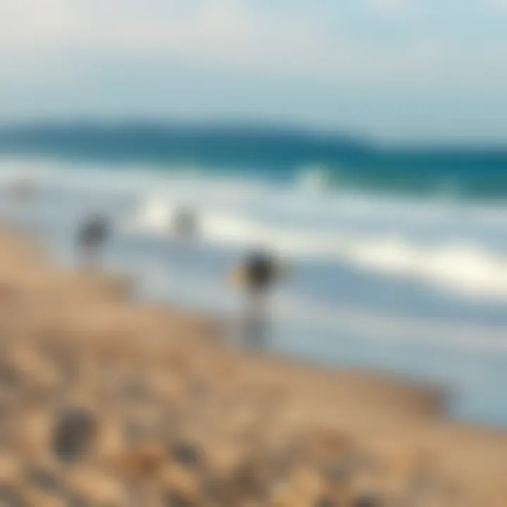 Picturesque Beach with Surfers A picturesque beach setting with surfers in the water