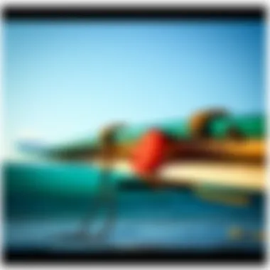 Surfboard Holder Maintenance Tips Surfboard holder maintenance tips for longevity