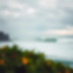 A stunning view of Salina Cruz's coastline showcasing the perfect wave formations.