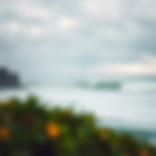 Coastal Beauty of Salina Cruz A stunning view of Salina Cruz's coastline showcasing the perfect wave formations.