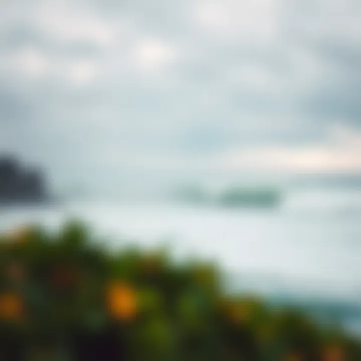 Coastal Beauty of Salina Cruz A stunning view of Salina Cruz's coastline showcasing the perfect wave formations.