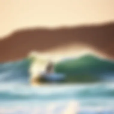 An artistically arranged portfolio showcasing various surf photography styles.