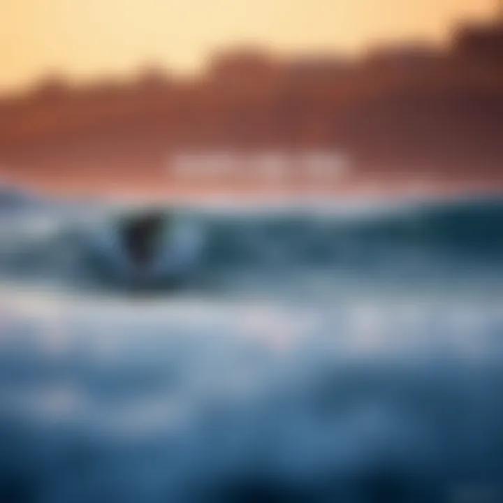 Comparison chart between Surfline Pro and other surfing platforms.