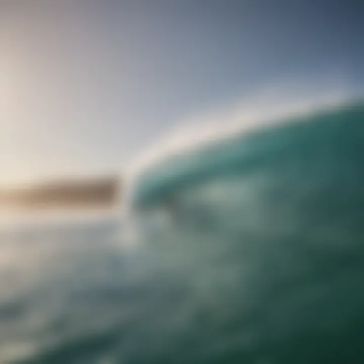 A group of surfers enjoying a day with Torq Surfboards