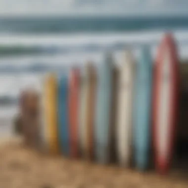 Surfboards lined up on the beach, symbolizing surf culture